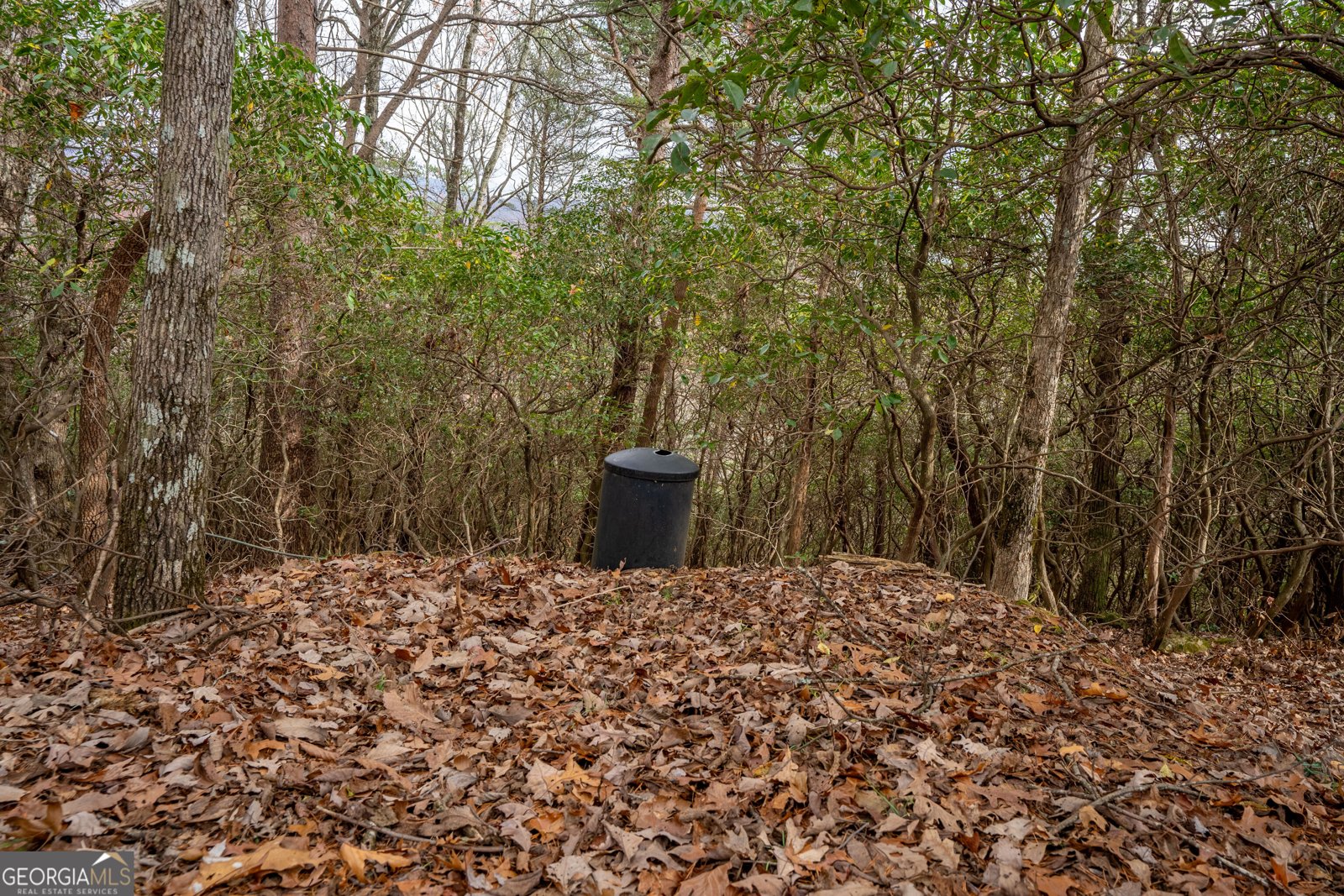 198 Hollow Log Trail Ellijay - 44