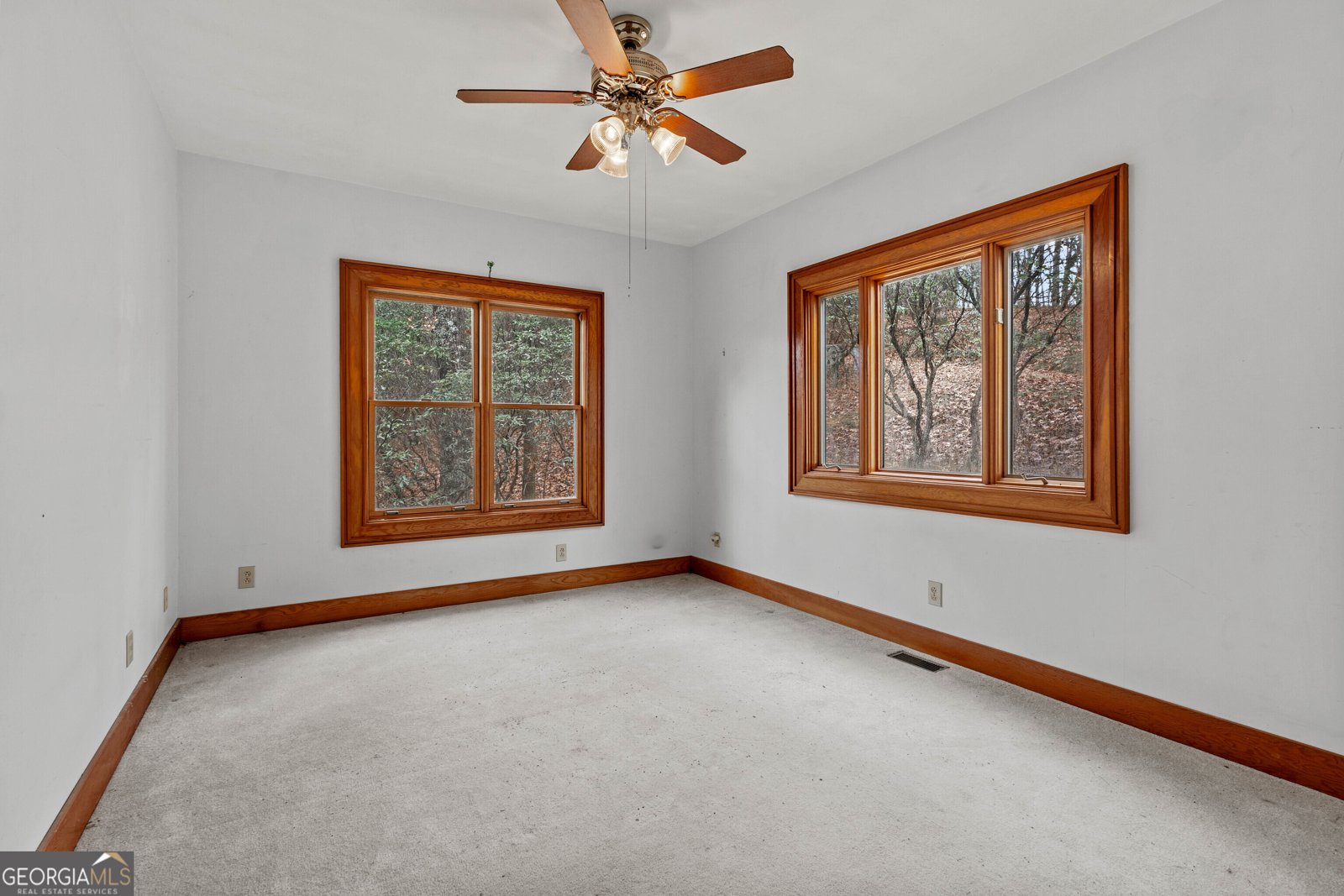 198 Hollow Log Trail Ellijay - 56