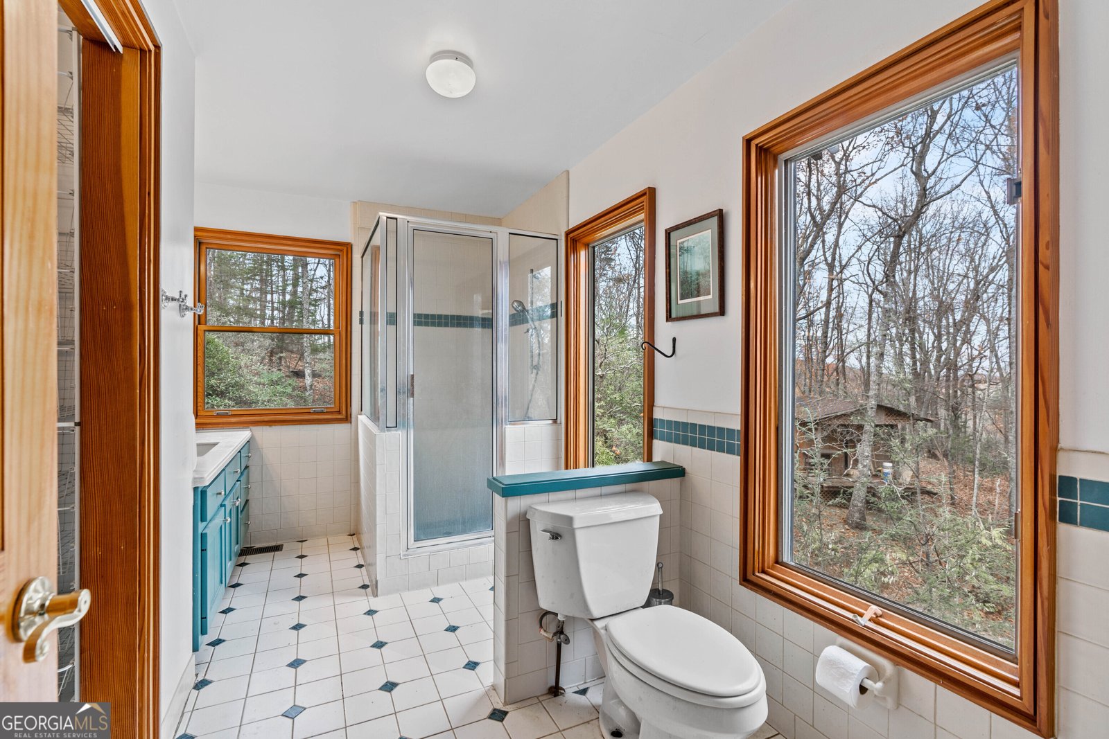 198 Hollow Log Trail Ellijay - 68