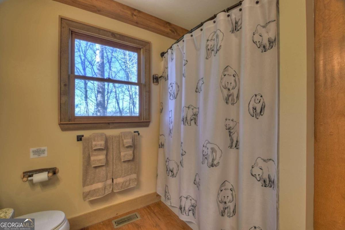 234 Majestic View Lane Blue Ridge - 36