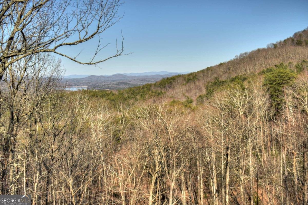 234 Majestic View Lane Blue Ridge - 39