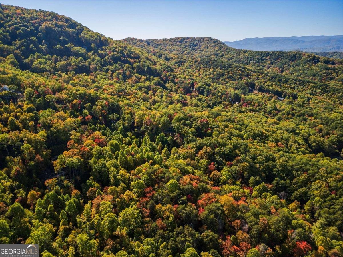 234 Majestic View Lane Blue Ridge - 4