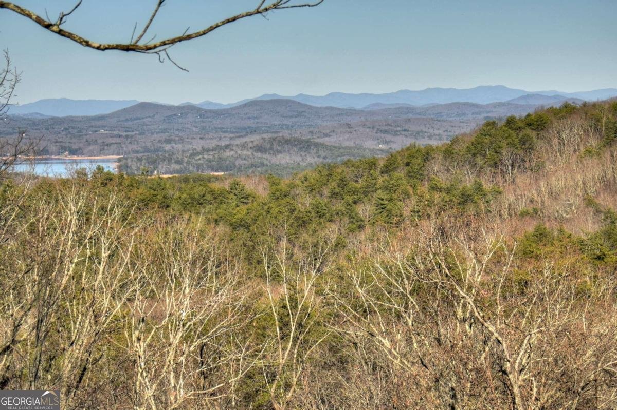 234 Majestic View Lane Blue Ridge - 40