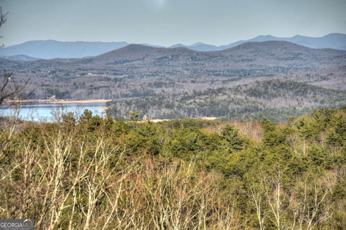 234 Majestic View Lane Blue Ridge - 41