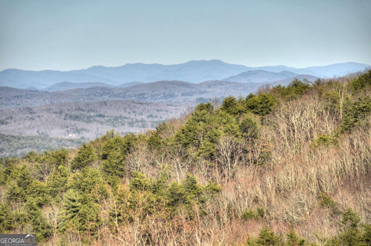 234 Majestic View Lane Blue Ridge - 42