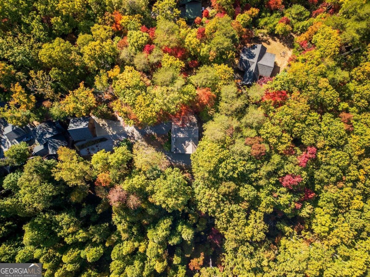 234 Majestic View Lane Blue Ridge - 58