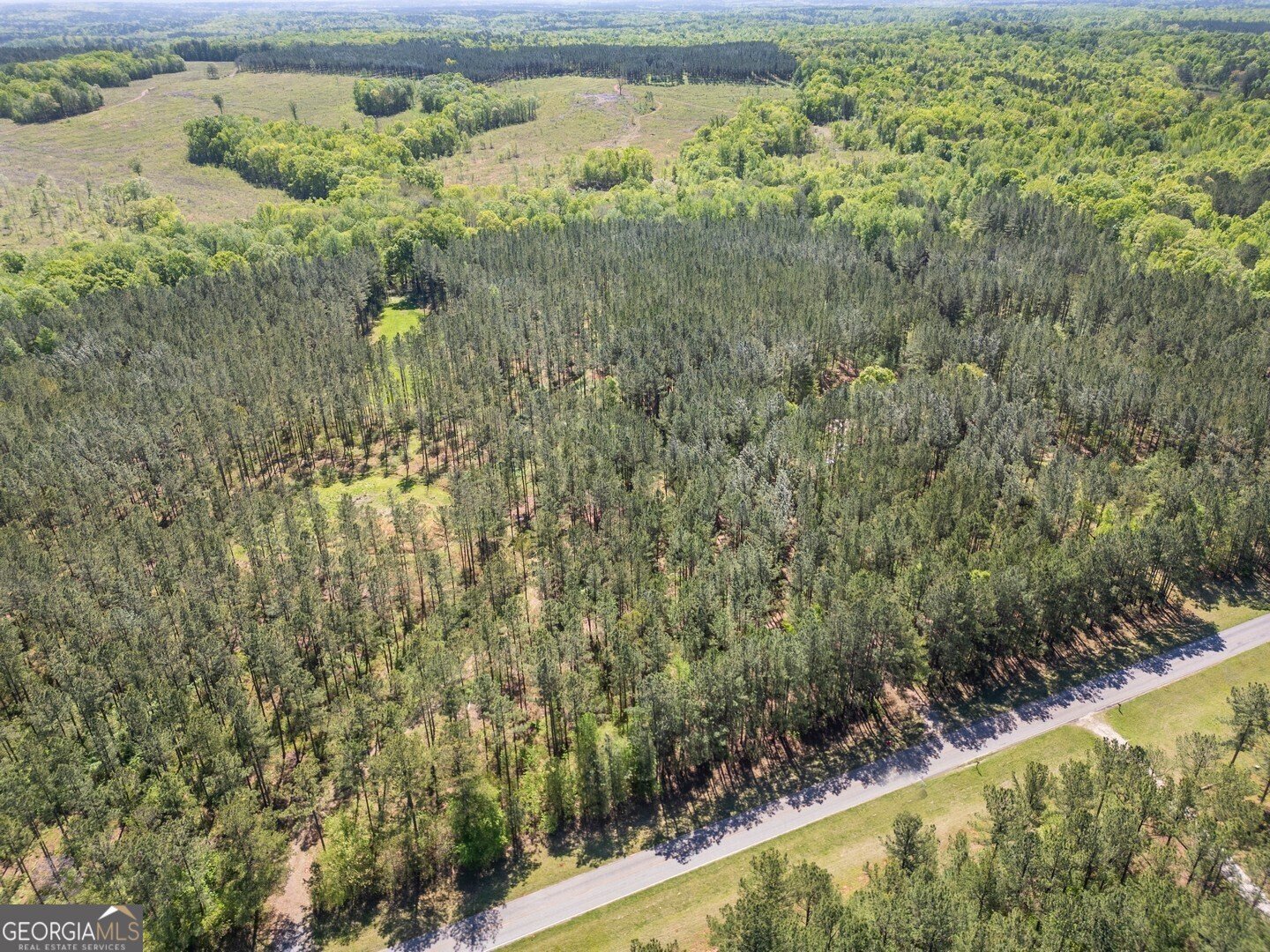 7485 Goolsby Road Monticello - 4