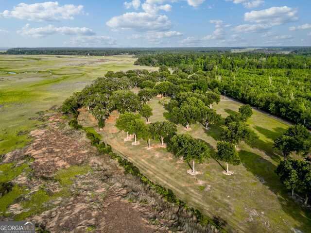 3917 Harris Neck Road Townsend - 19