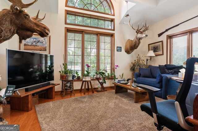 3917 Harris Neck Road Townsend - 30