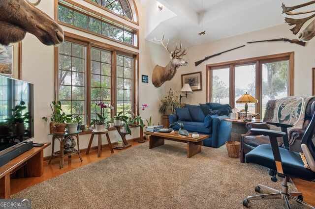 3917 Harris Neck Road Townsend - 31