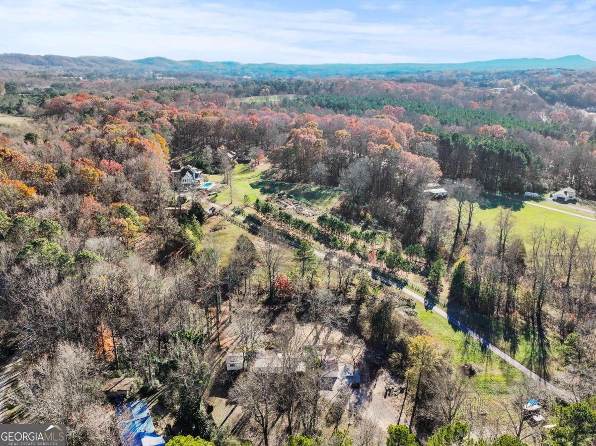 8340 Gib Evans Road Dawsonville - 5