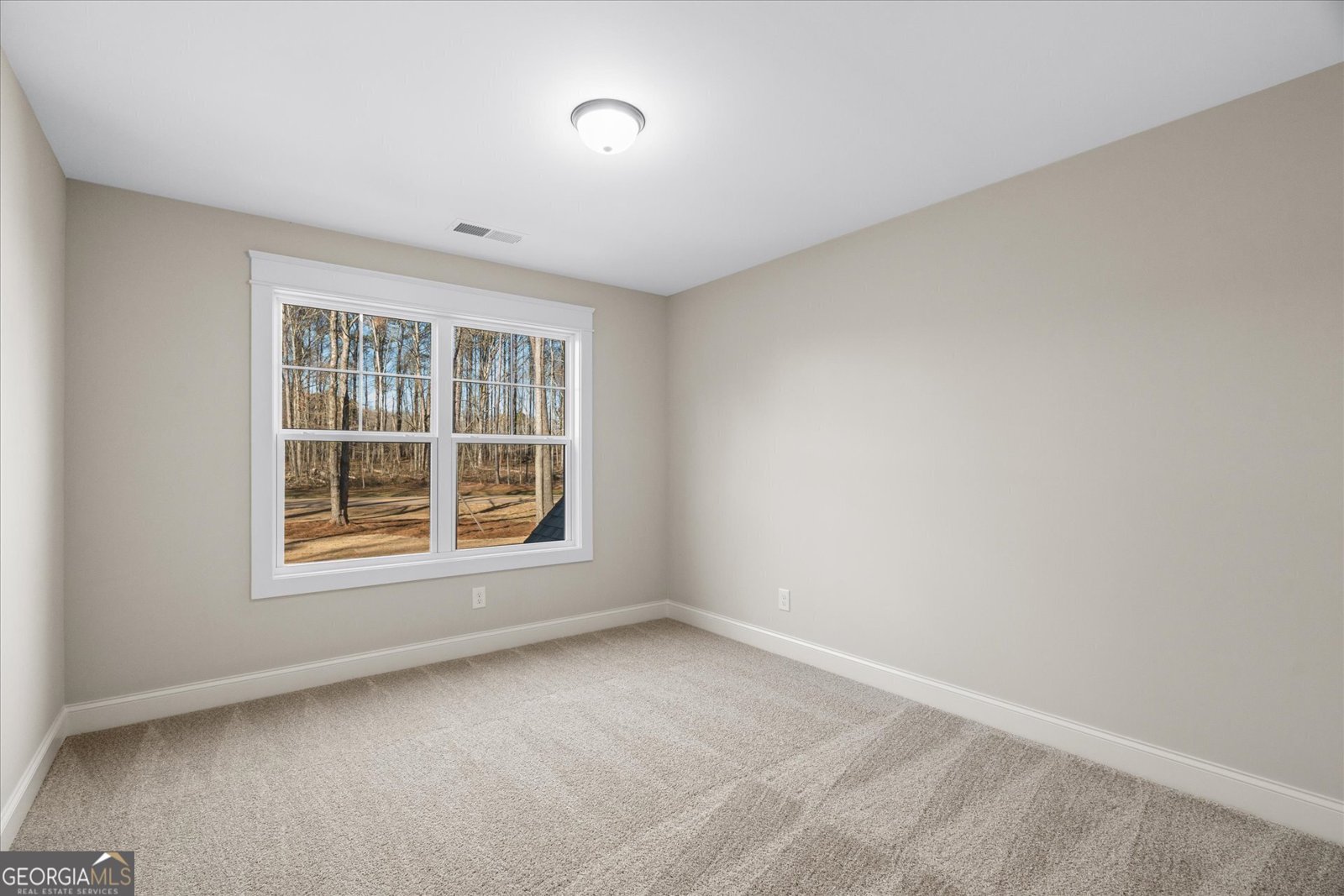473 Nugget Road Carrollton - 24