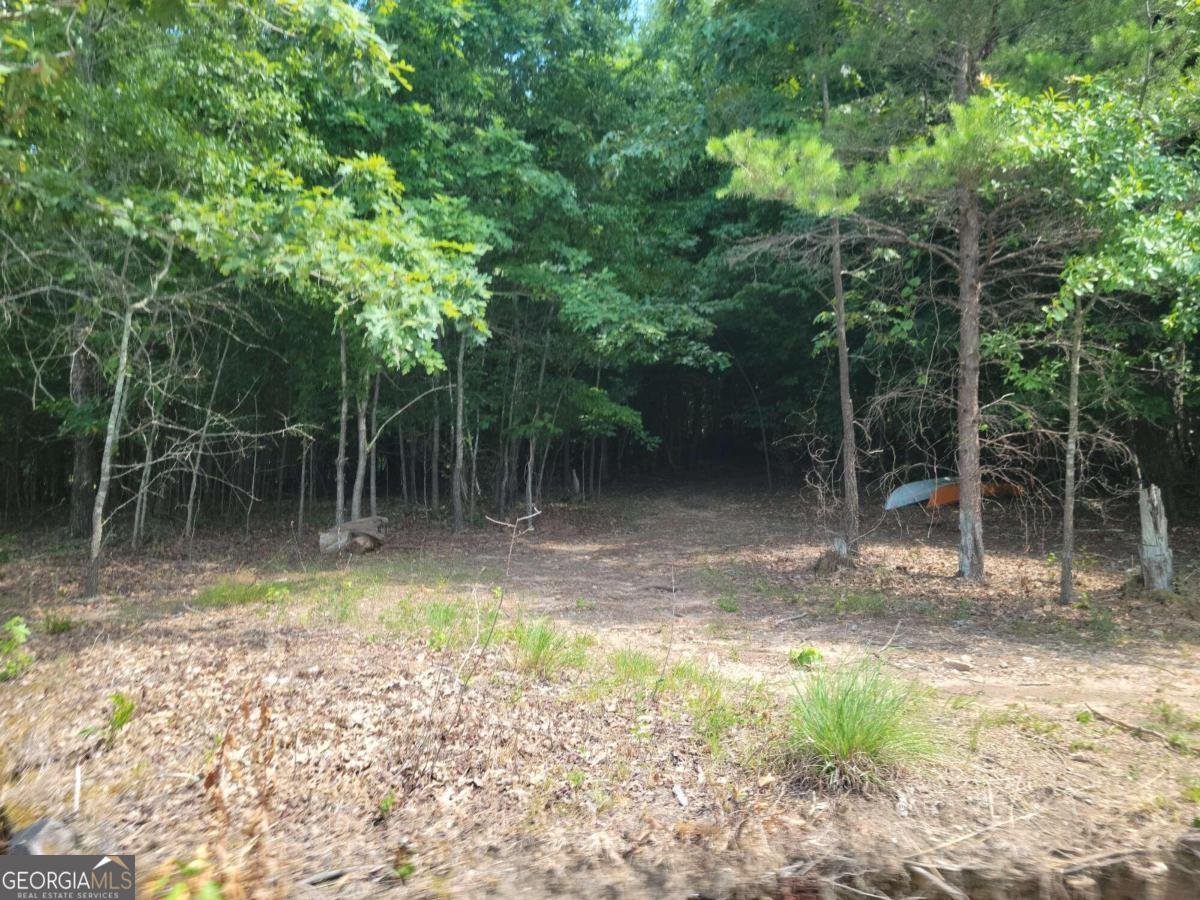 2610 Little River Park Road Gainesville - 10