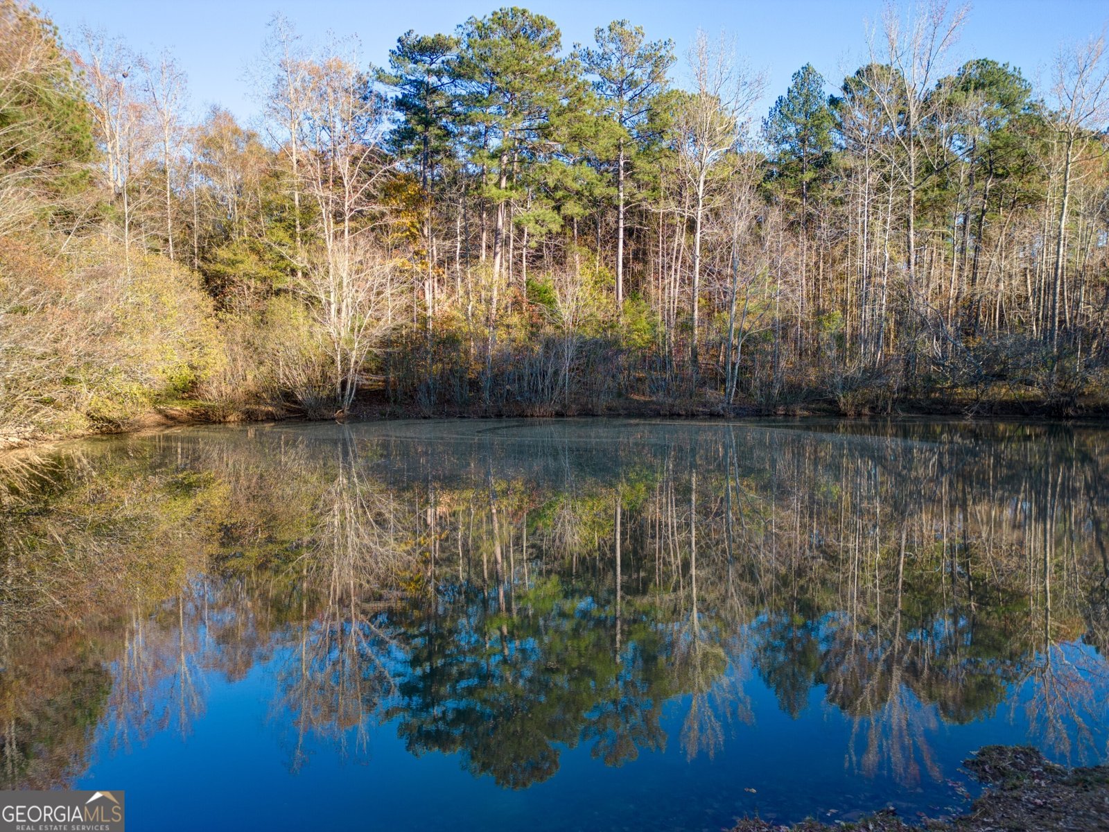 595 Mount Carmel Road McDonough - 5