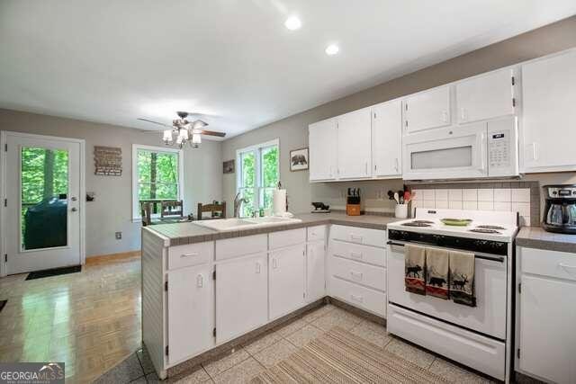 113 Jetty Drive Ellijay - 3
