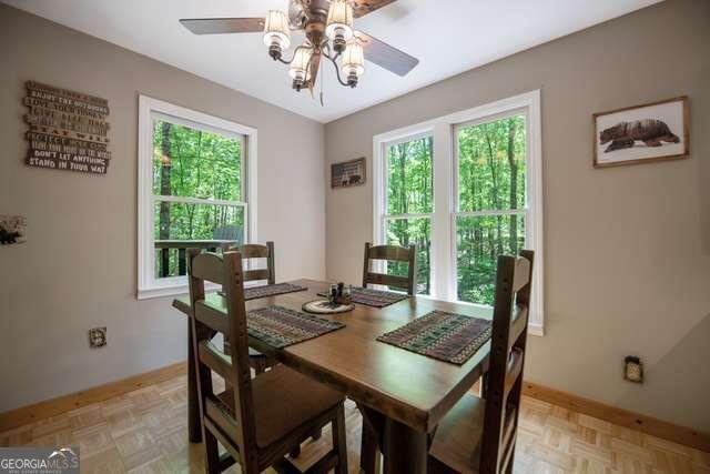 113 Jetty Drive Ellijay - 6