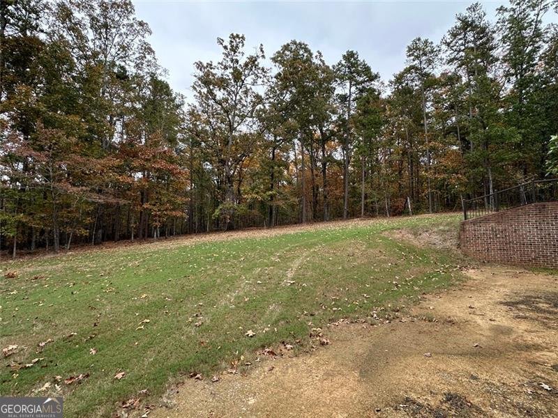 25 Fireside Court Cartersville - 86