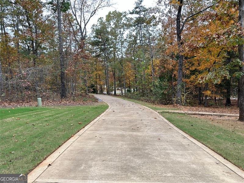 25 Fireside Court Cartersville - 88