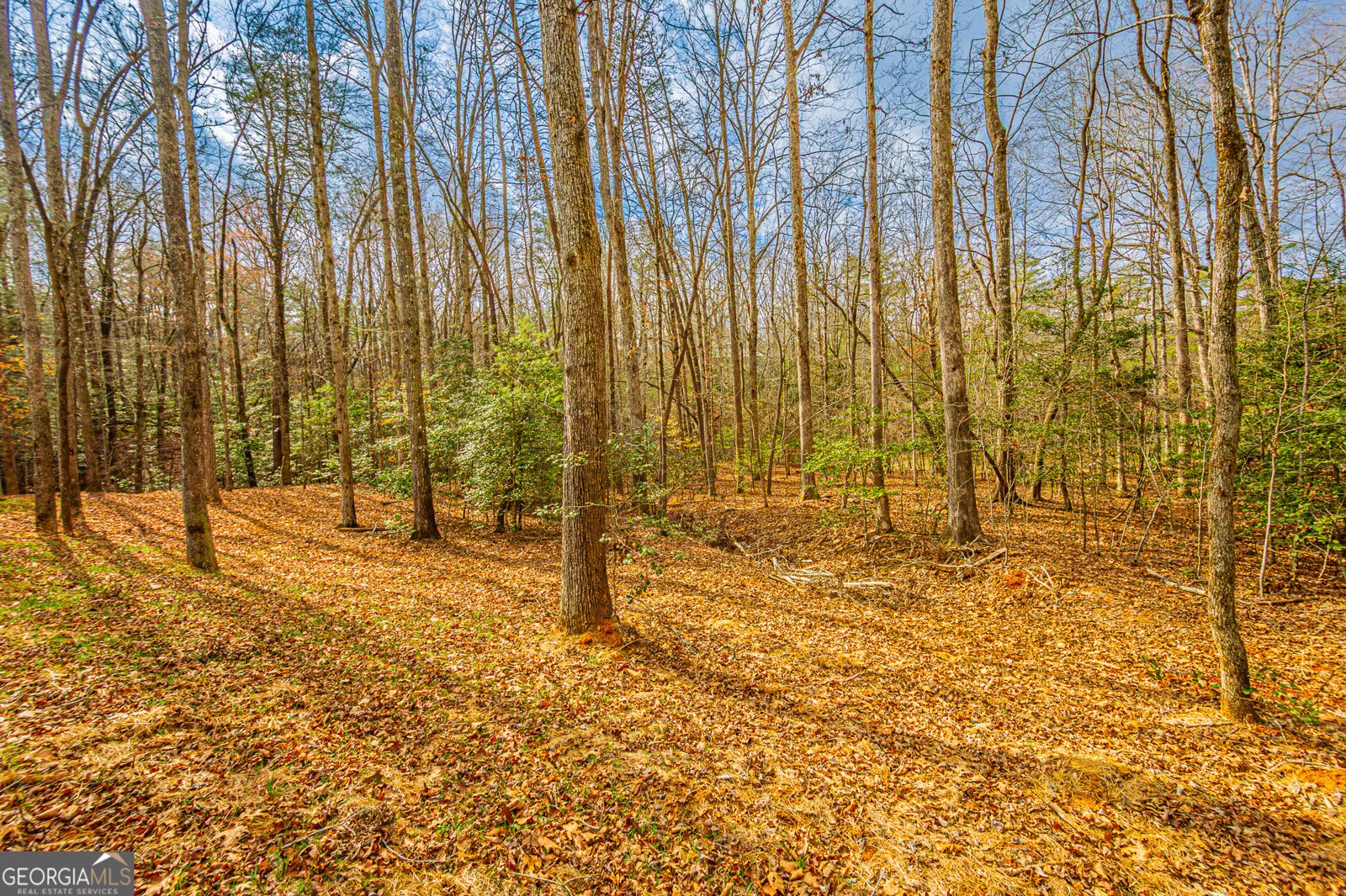 90 Lake Point Drive Dahlonega - 5