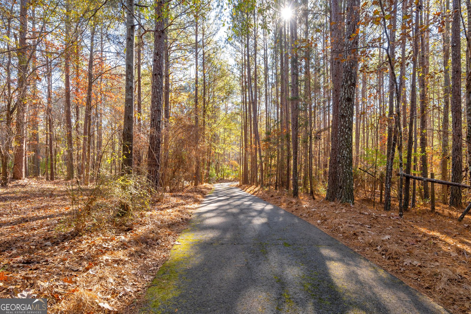 350 Huff Lake Road Bogart - 17