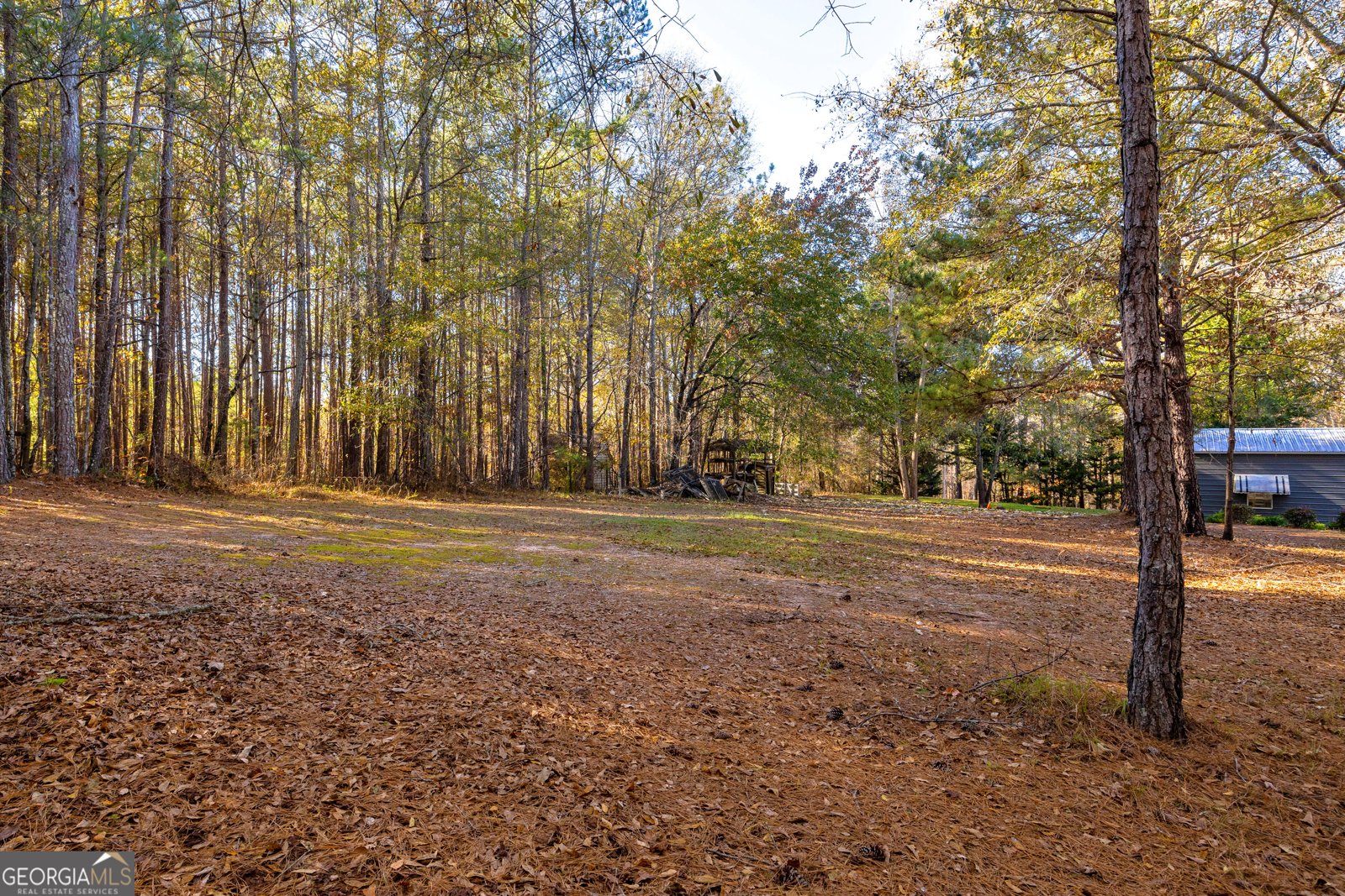 350 Huff Lake Road Bogart - 18
