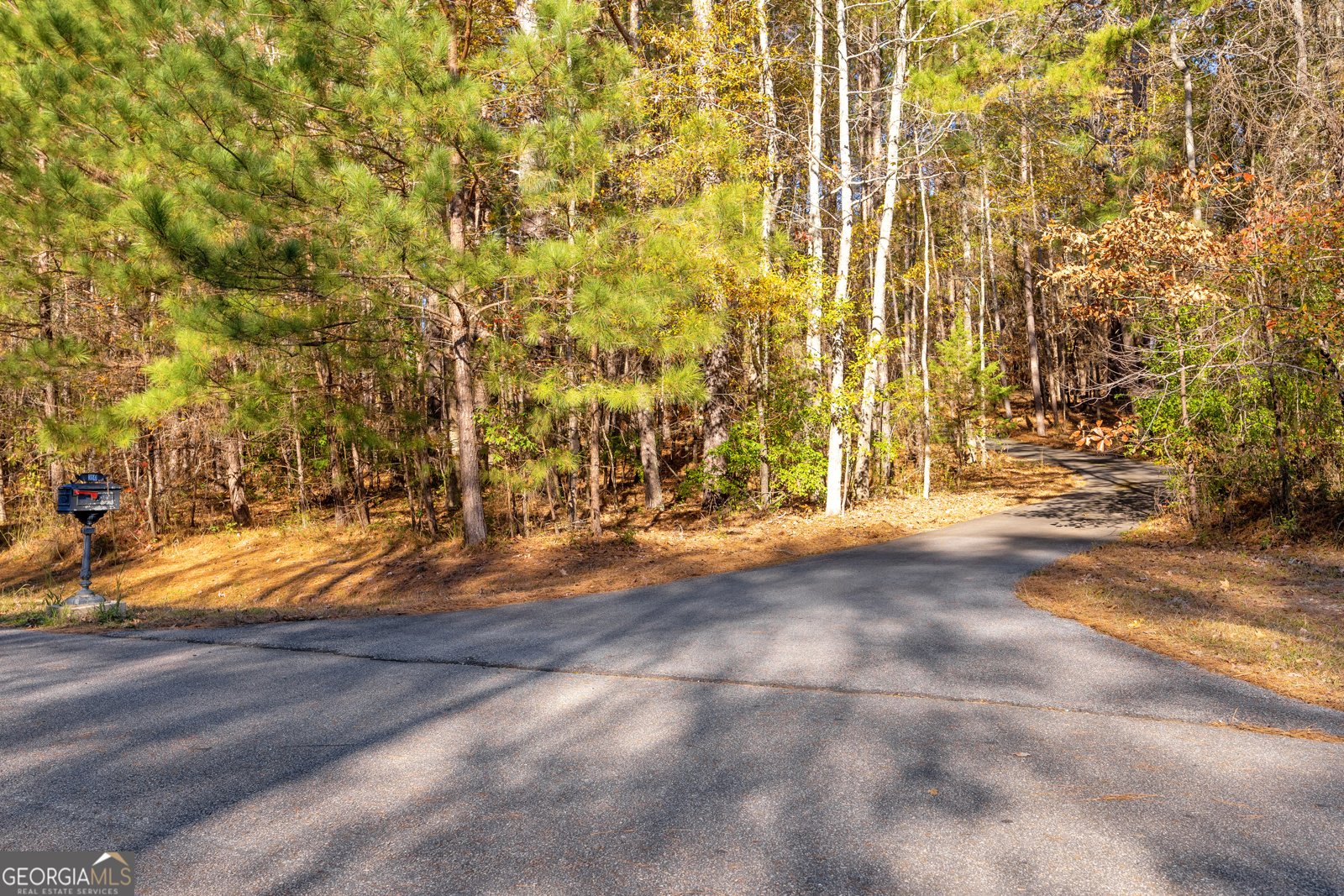 350 Huff Lake Road Bogart - 23