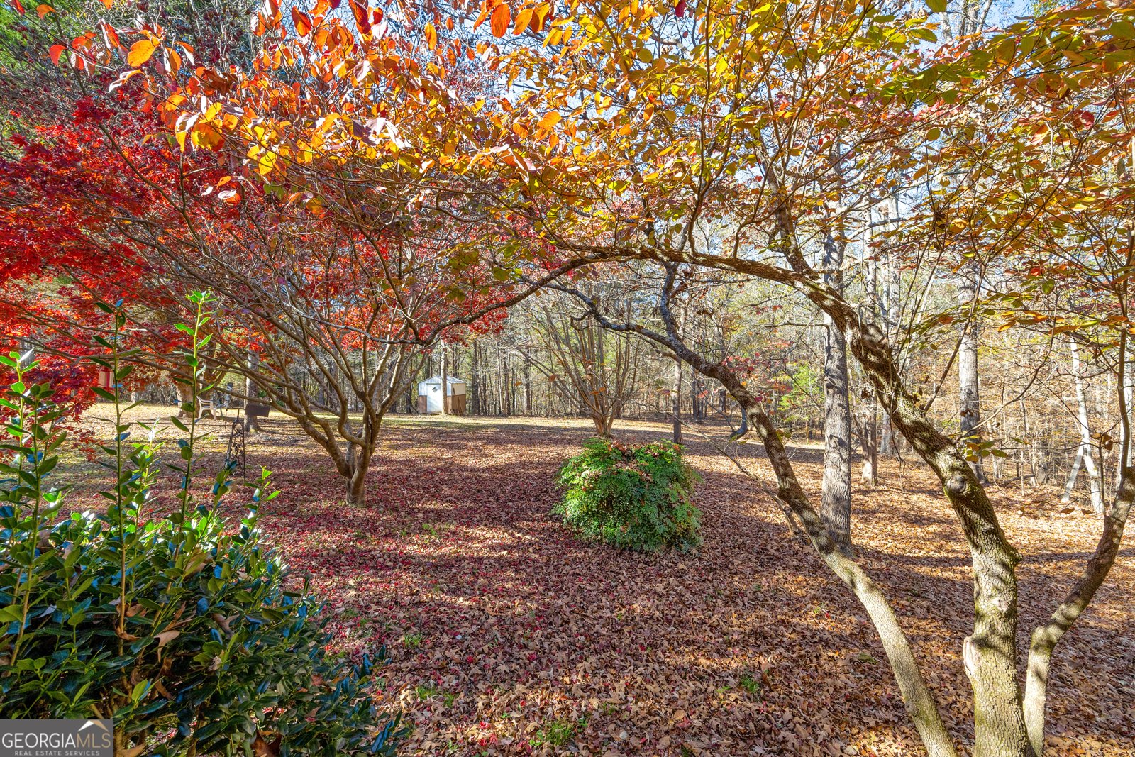 350 Huff Lake Road Bogart - 24