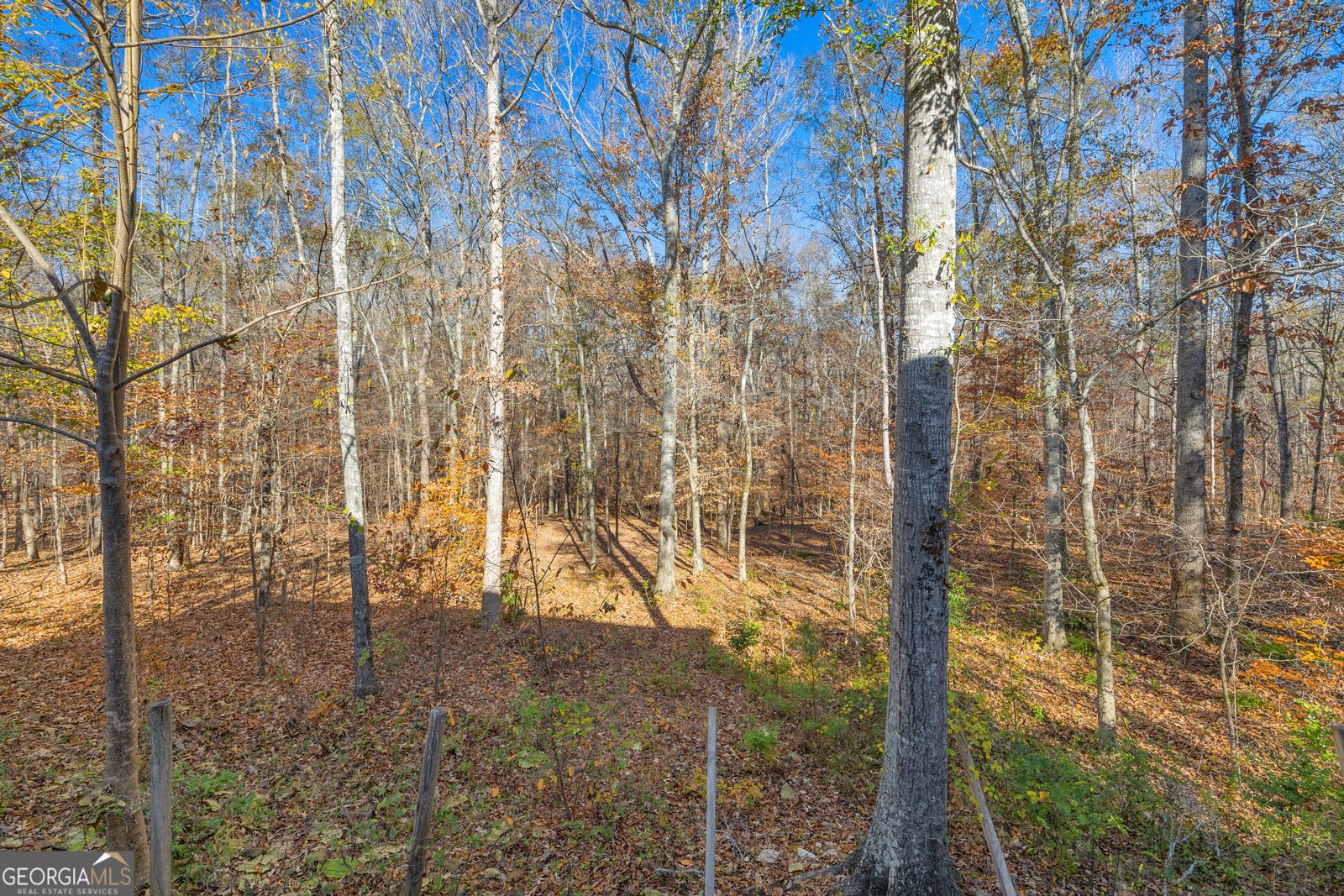 350 Huff Lake Road Bogart - 25