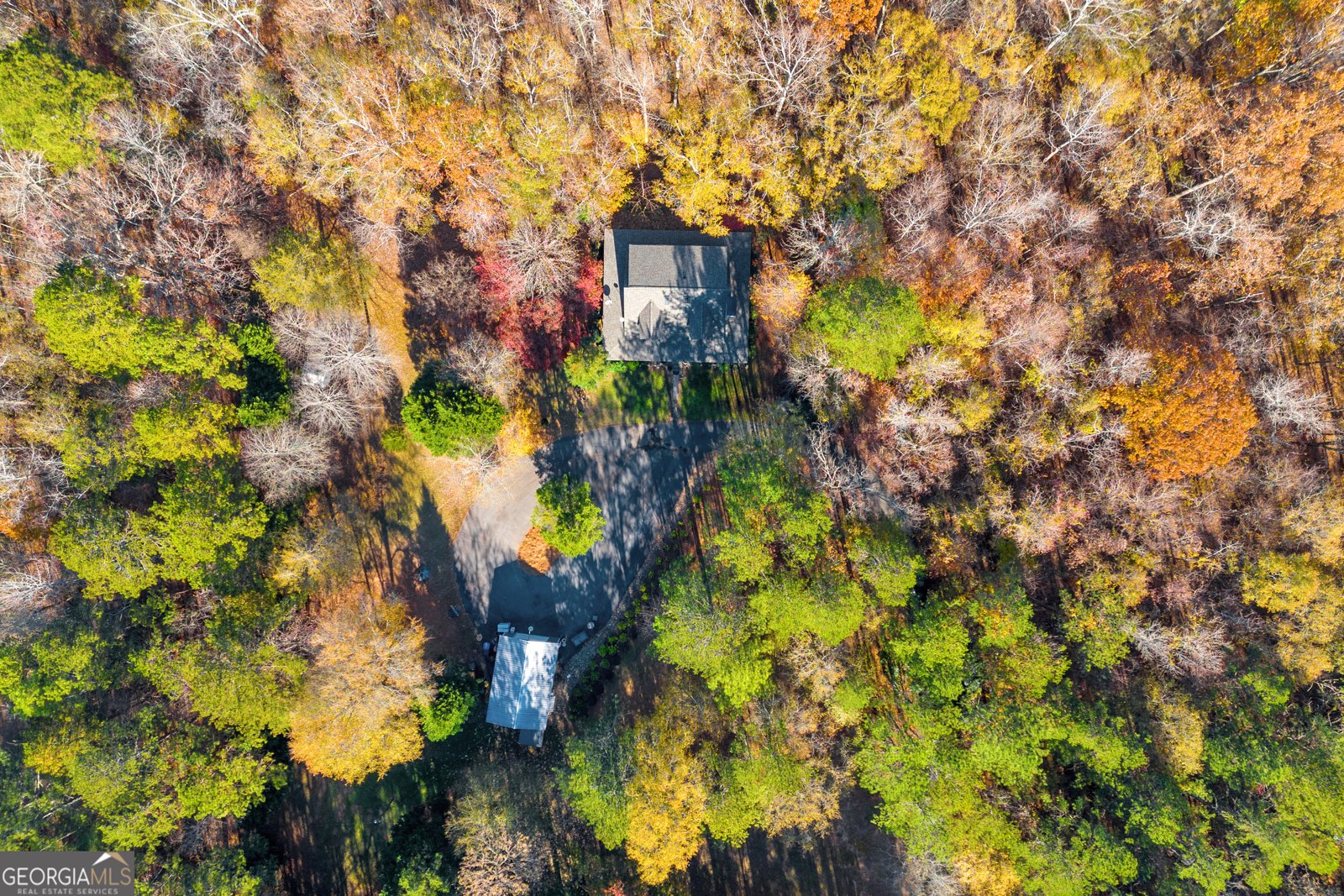 350 Huff Lake Road Bogart - 6