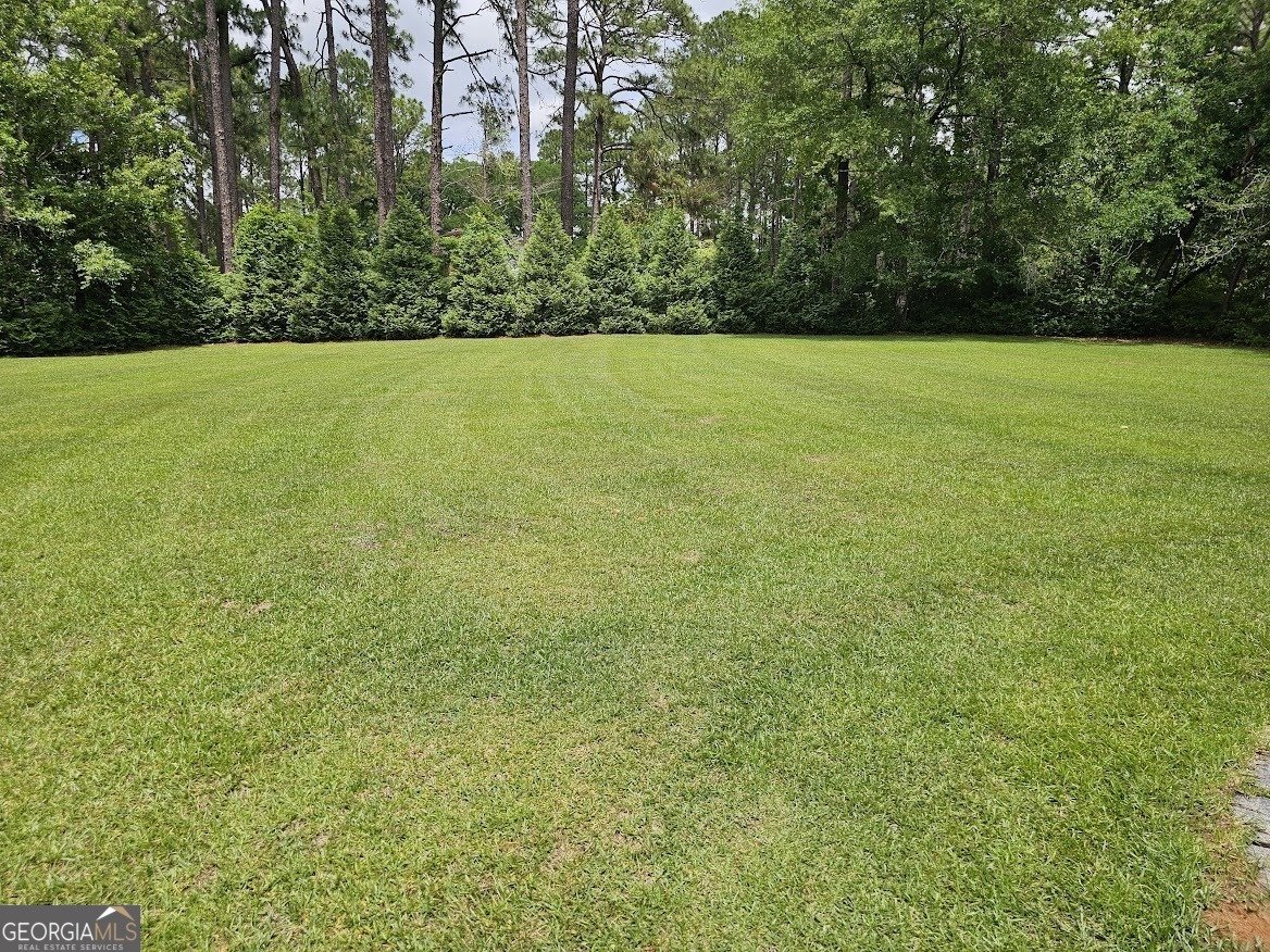 101 Remington Way Statesboro - 45