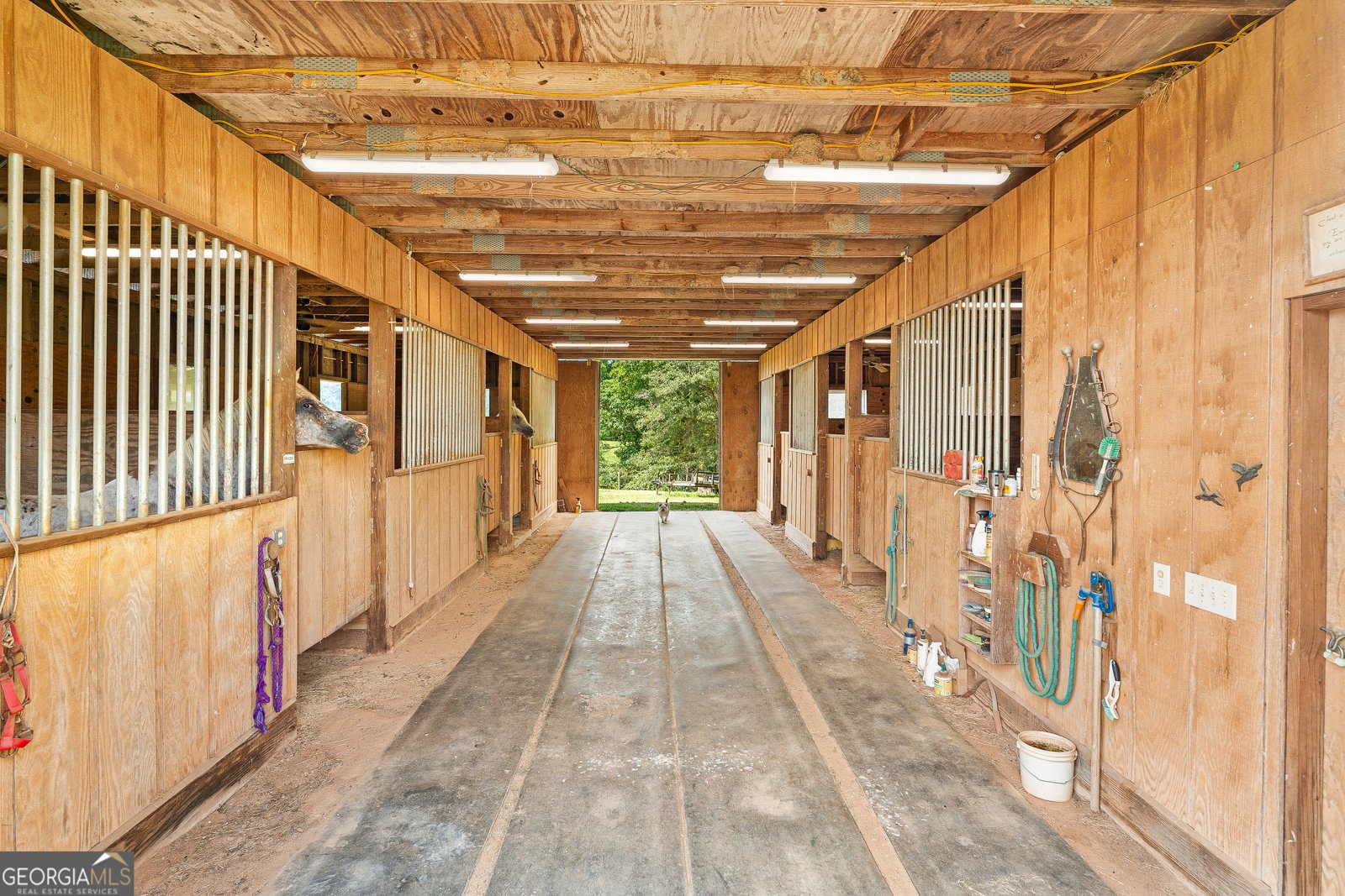 2784 Stanley Maxwell Road Bowman - 47