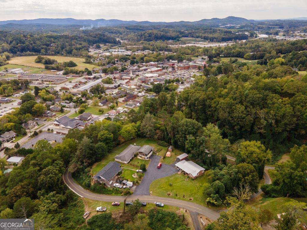 131 Logan Circle Ellijay - 41