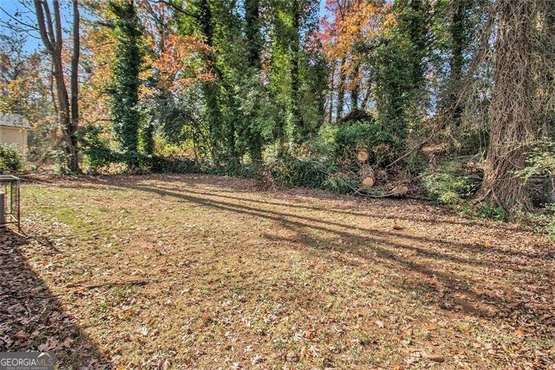 1425 COBB BRANCH Drive Decatur - 16