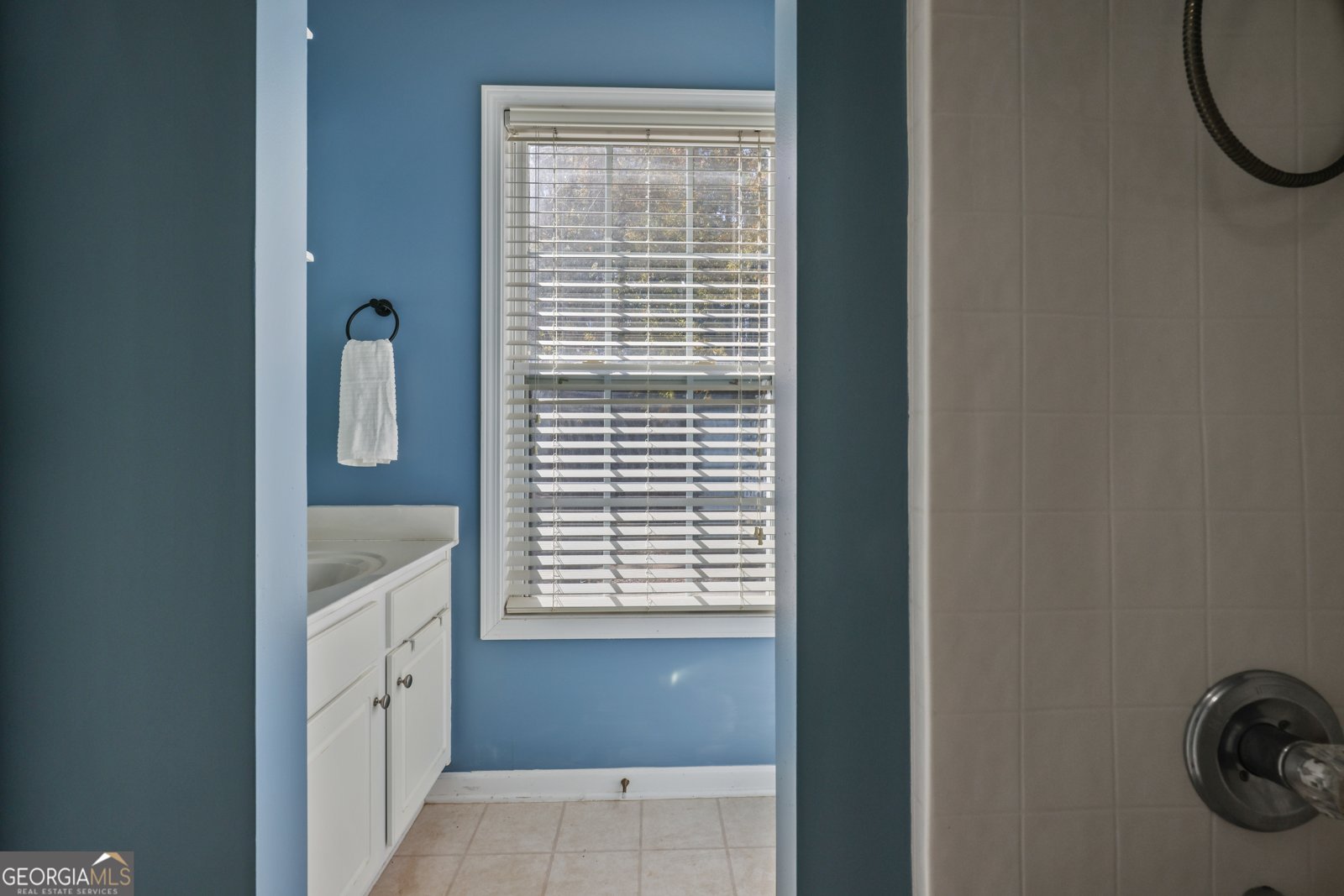260 Wildcat Lake Drive Lawrenceville - 22