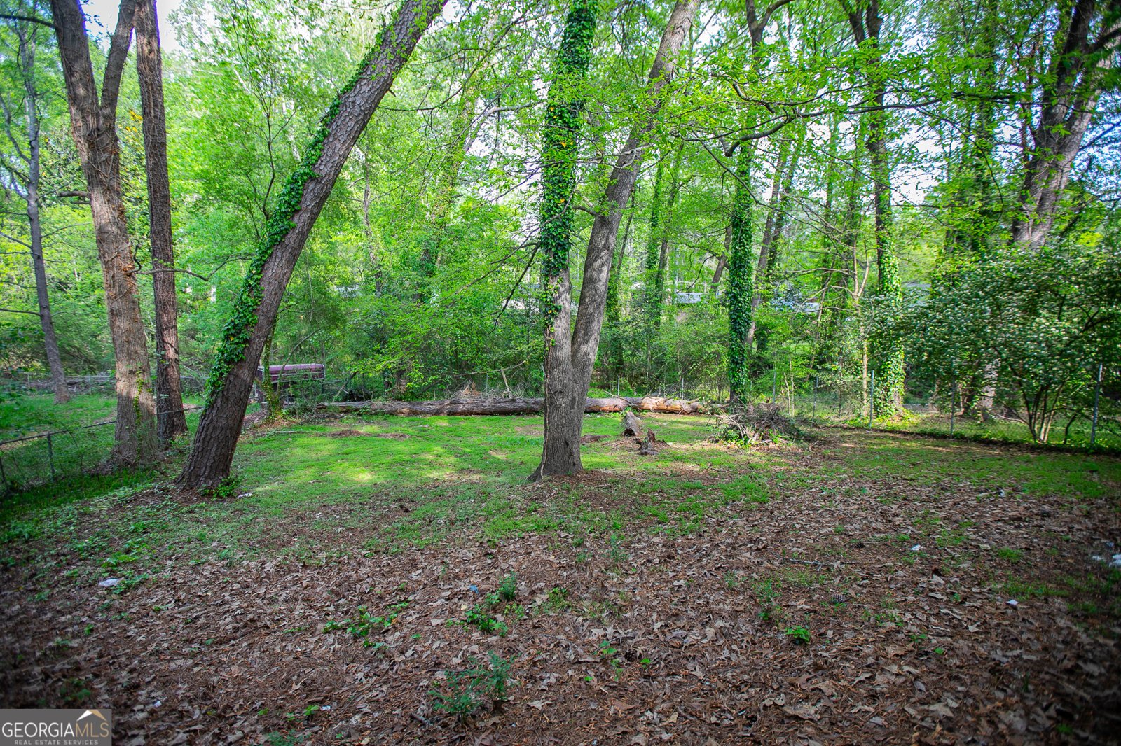 2080 Bluffton Way Decatur - 42