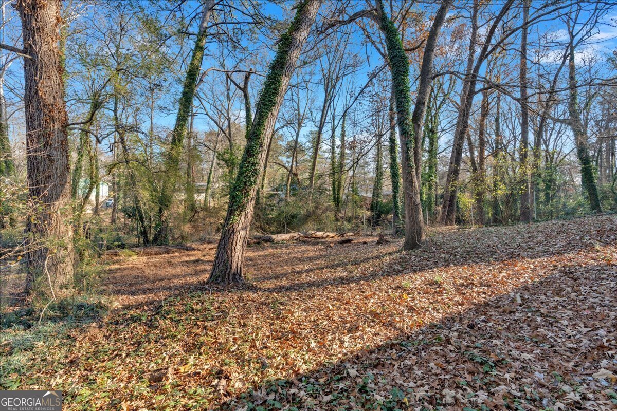 2080 Bluffton Way Decatur - 67
