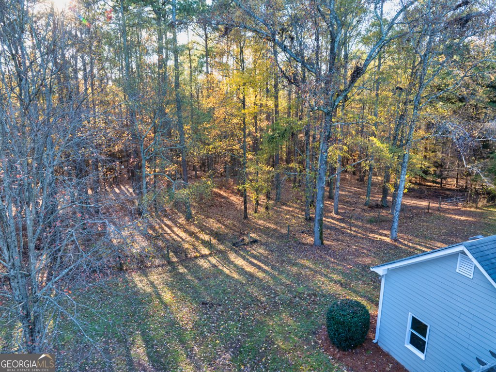 4120 Grady Smith Road Loganville - 64