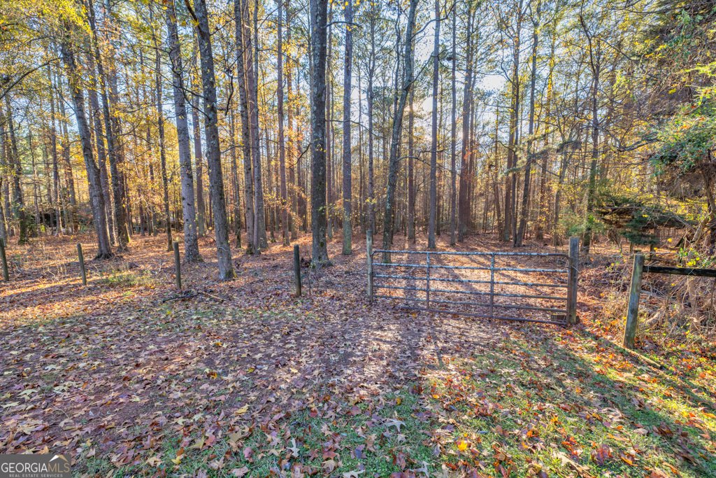 4120 Grady Smith Road Loganville - 73