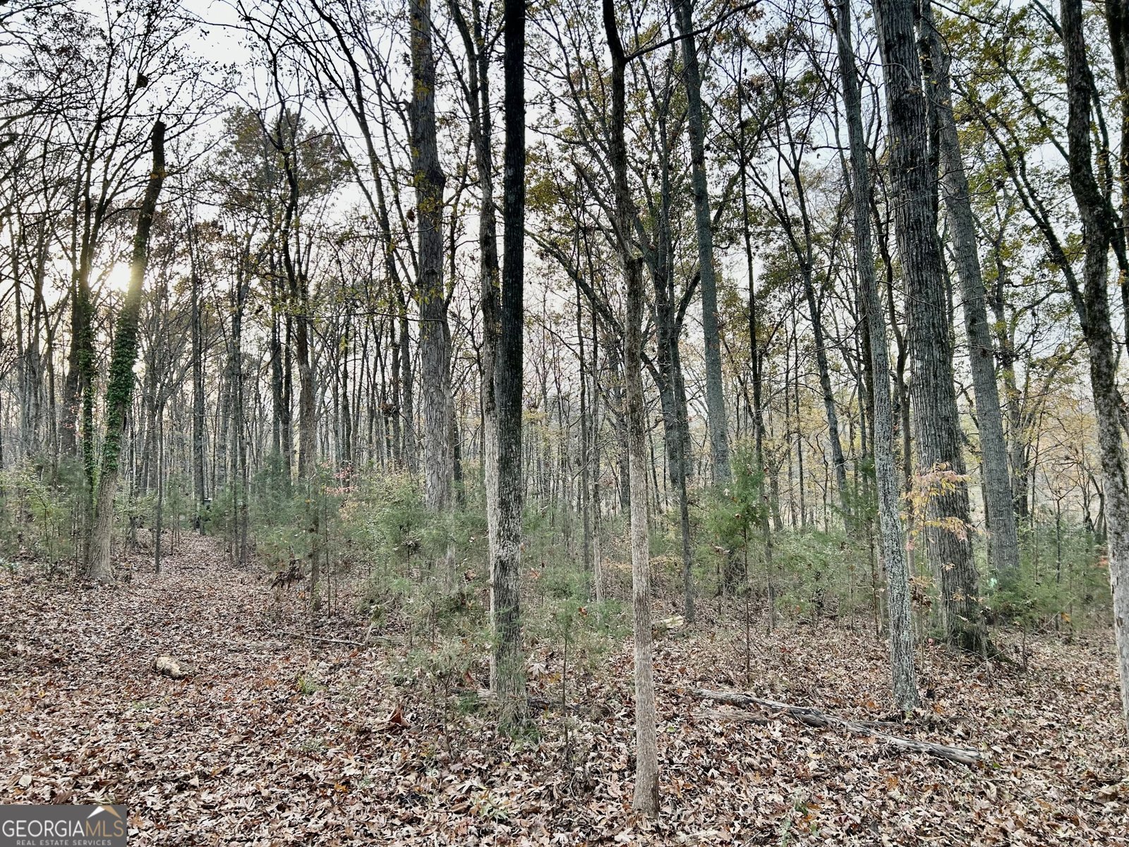 2291 Calhoun Falls Highway Elberton - 61