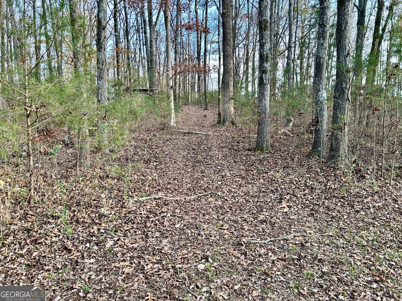 2291 Calhoun Falls Highway Elberton - 63