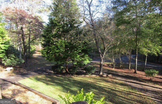 41 Little Falls Drive Mineral Bluff - 34