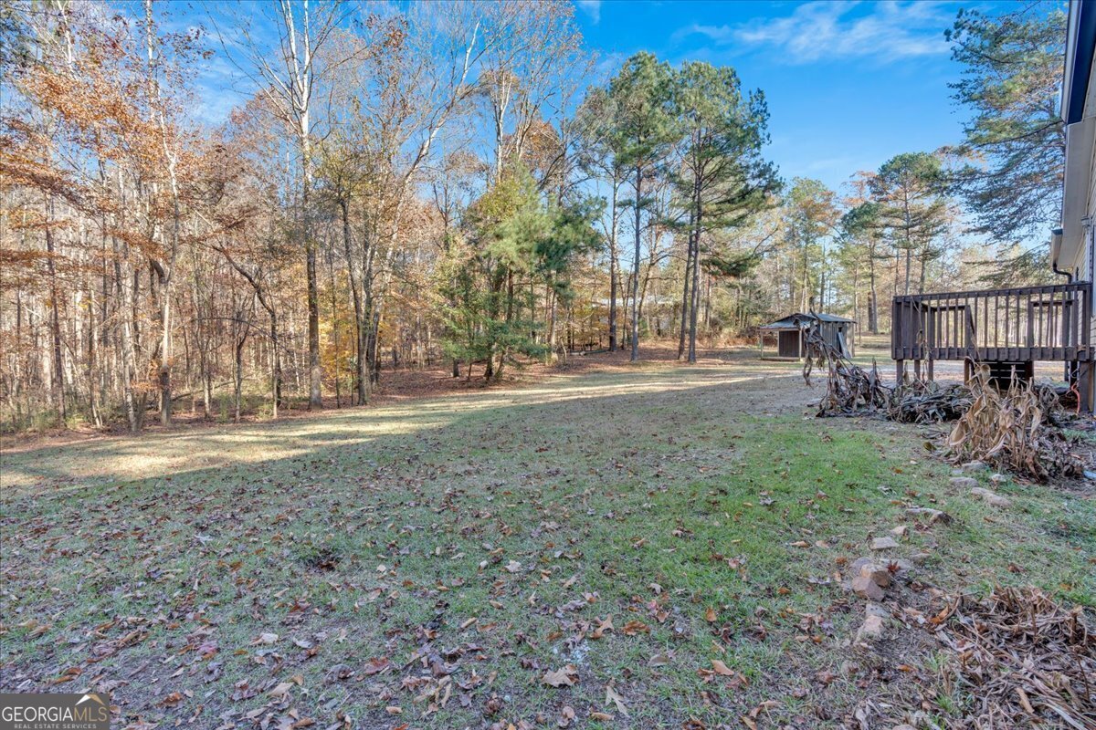 157 Reynolds Road Bowdon - 5