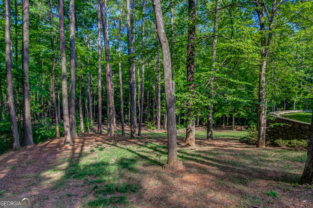 239 Green Ridge Road Jasper - 151