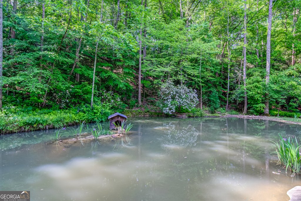 239 Green Ridge Road Jasper - 157