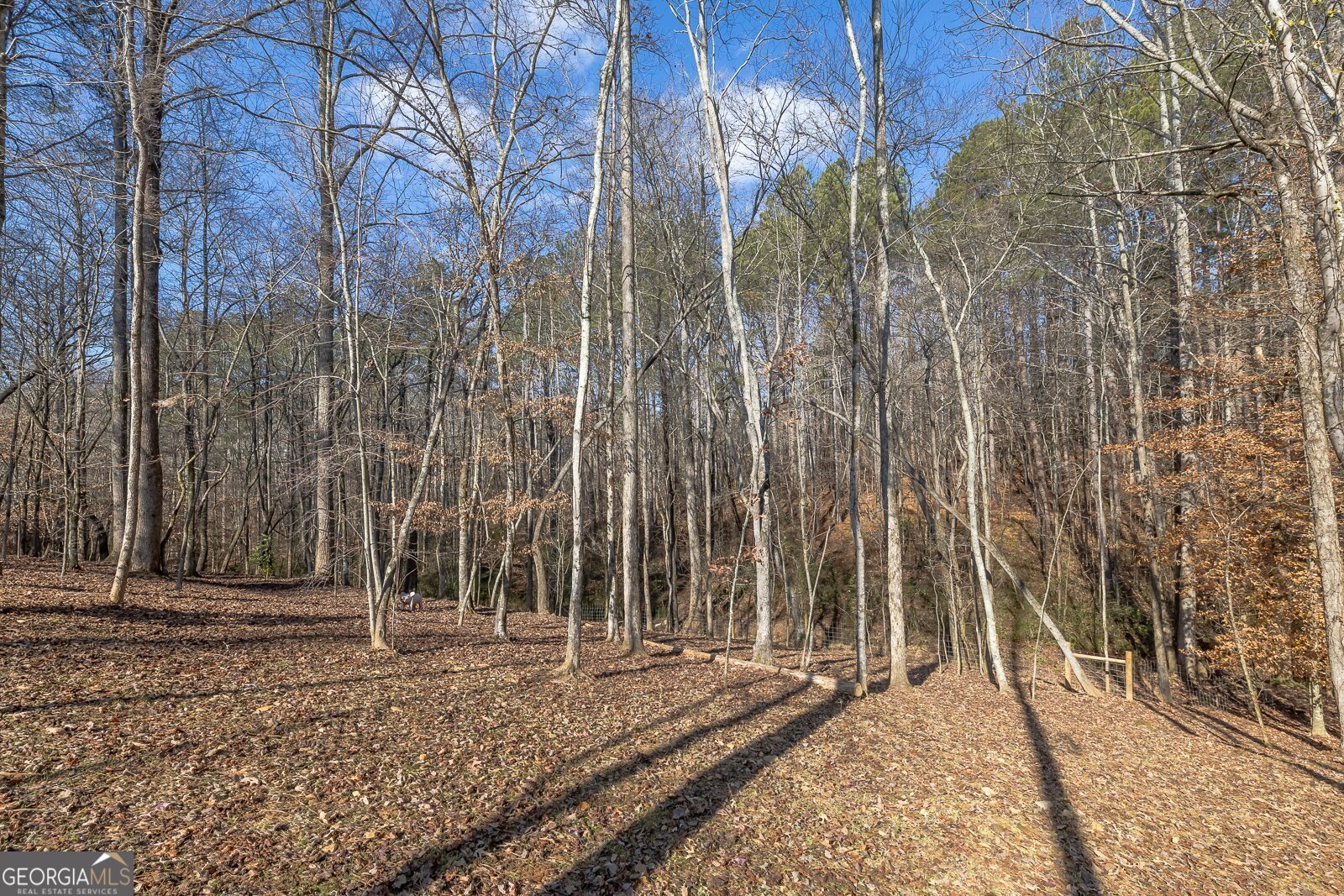 239 Green Ridge Road Jasper - 37