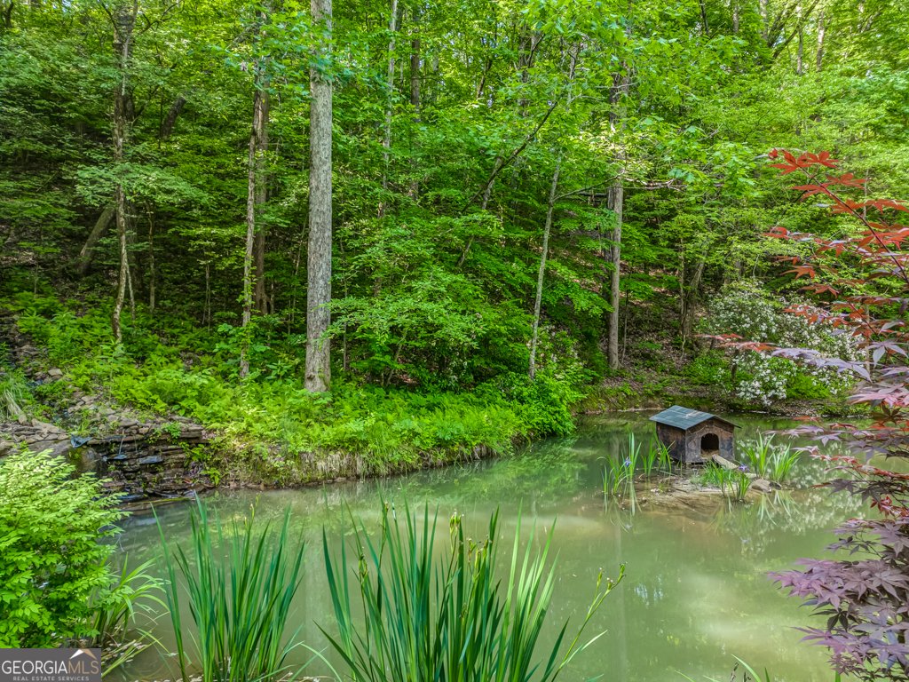 239 Green Ridge Road Jasper - 76