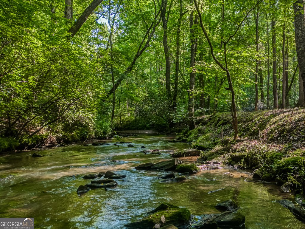 239 Green Ridge Road Jasper - 86
