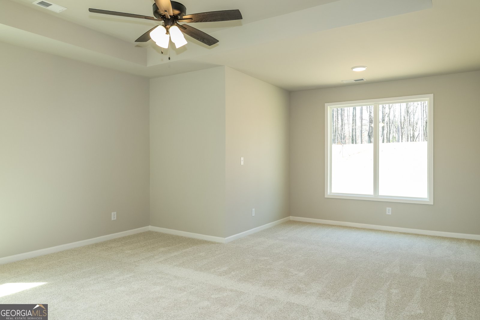 156 Belle Hall Drive Newnan - 20