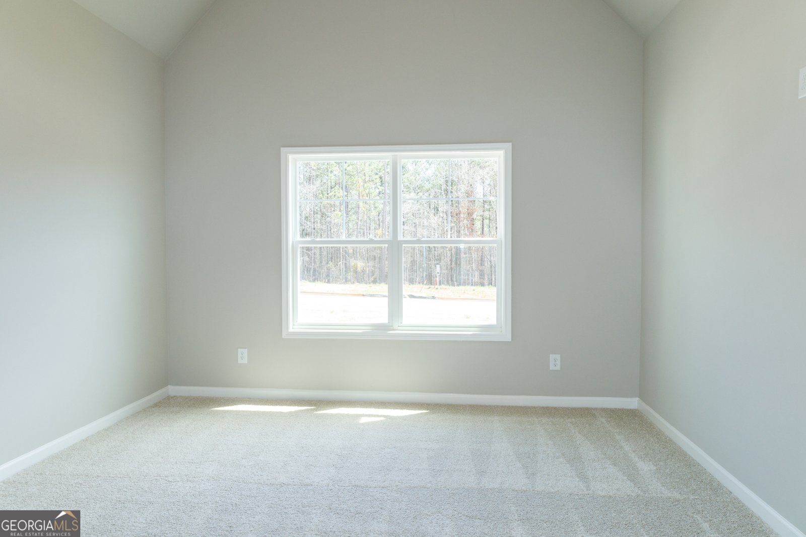 156 Belle Hall Drive Newnan - 27