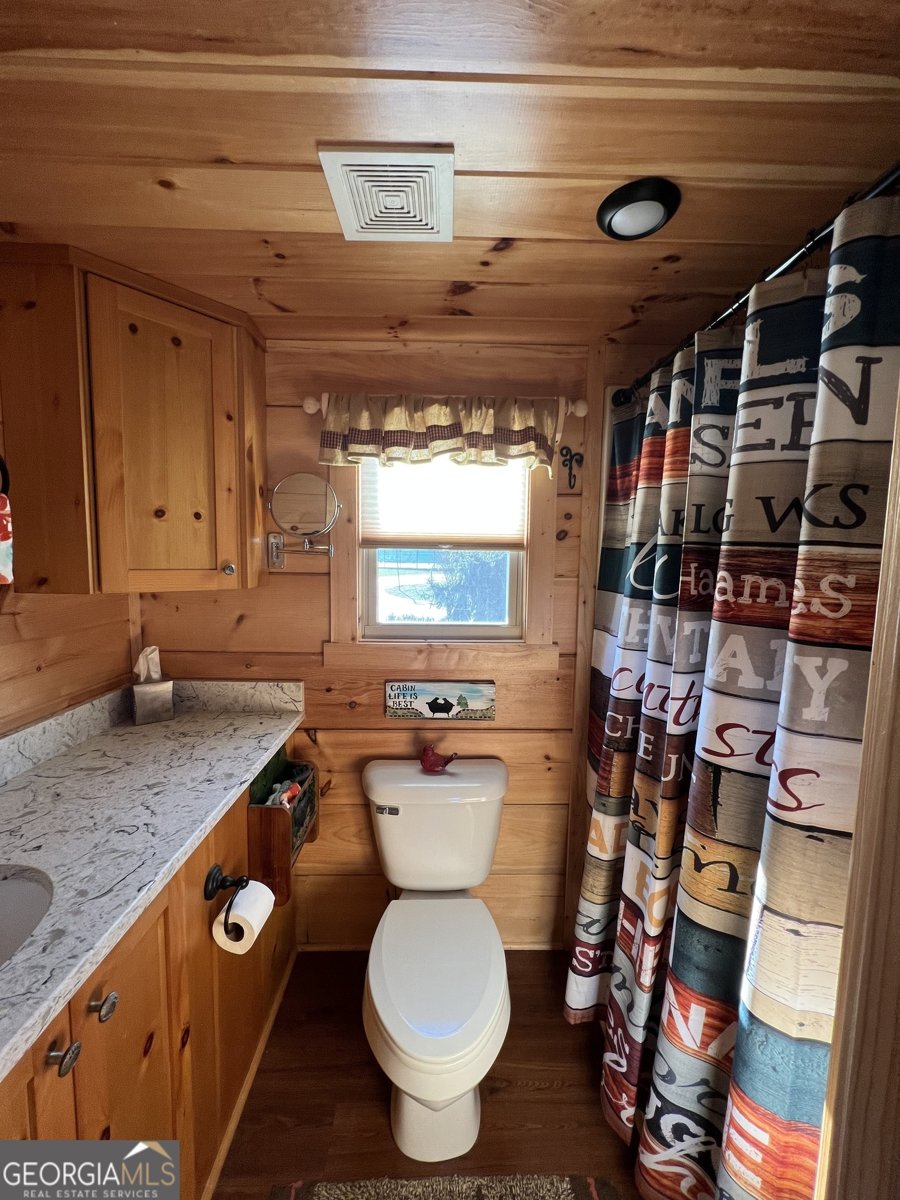 168 Misty Valley Road Blairsville - 19